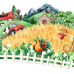 Lemonka Farm Transfers