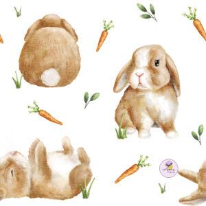 Preorder Hop Little Bunny