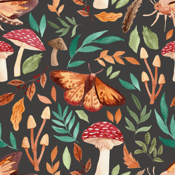 Autumn Meadow
