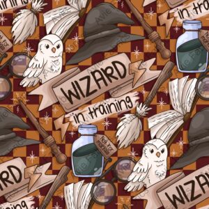 Preorder Wizard In Training