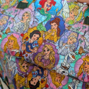 Princess Stainglass Custom